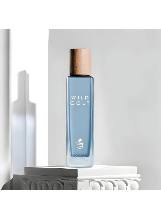 ASSAF Wild Colt by Assaf 200ml - Image 3